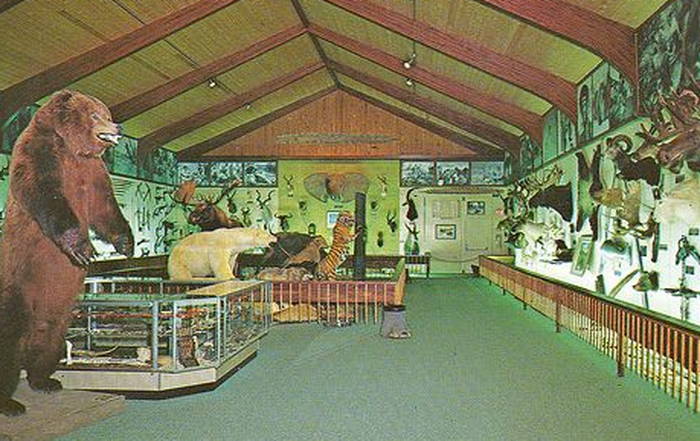 Fred Bear Museum  and Bear Mountain - Interior Photo (newer photo)